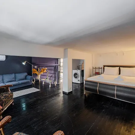 Διαμέρισμα Art Loft Skg